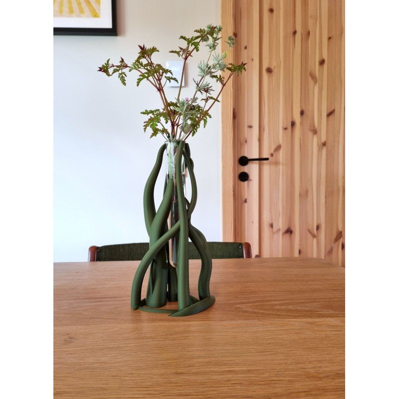 Vas "Entangle tube"
