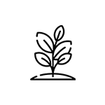 Ympäristöystävällinen muovi